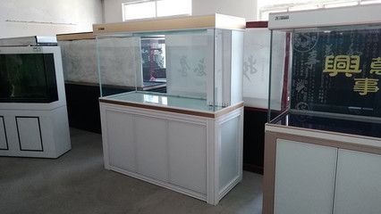 龍魚的尾巴爛了怎么辦啊:龍魚尾巴爛了可能是由多種因素引起的,龍魚爛尾后如何改善水質 龍魚百科 第5張 龍魚的尾巴爛了怎么辦啊:龍魚尾巴爛了可能是由多種因素引起的,龍魚爛尾后如何改善水質 龍魚的尾巴爛了怎么辦啊:龍魚尾巴爛了可能是由多種因素引起的,龍魚爛尾后如何改善水質 龍魚百科 第5張