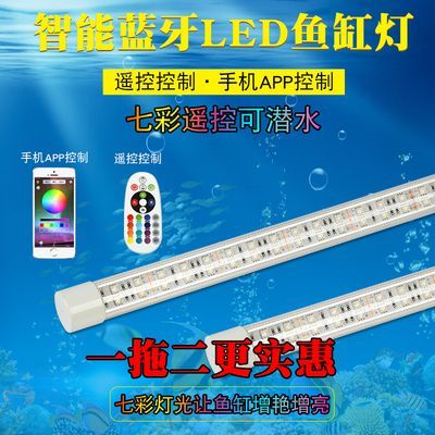 金龍魚缸燈離水面太近會怎么樣：金龍魚缸燈離水面的距離對魚健康和外觀有重要影響