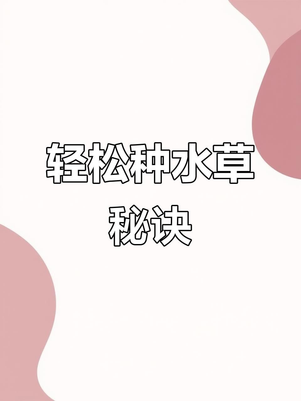 龍魚缸水草種植需要哪些工具？