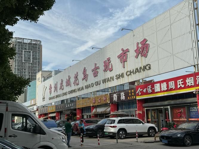 太原龍魚批發在哪里進貨便宜 太原龍魚批發在哪里進貨便宜 龍魚百科 第5張