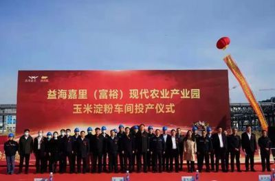 富?？h金龍魚項目，富?？h金龍魚項目最新進展