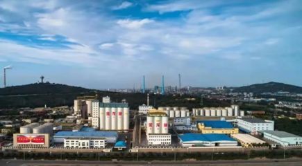 富?？h金龍魚項目，富?？h金龍魚項目最新進展