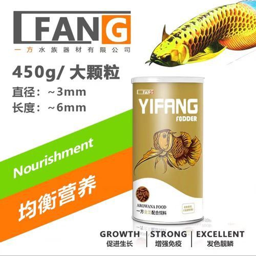 紅龍魚(yú)怎么養(yǎng)會(huì)更紅潤(rùn)一些