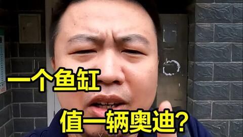龍魚頭抖動張嘴怎么辦（龍魚頭抖動張嘴可能由多種原因引起，可能由多種原因引起） 龍魚頭抖動張嘴怎么辦（龍魚頭抖動張嘴可能由多種原因引起，可能由多種原因引起） 龍魚百科 第2張