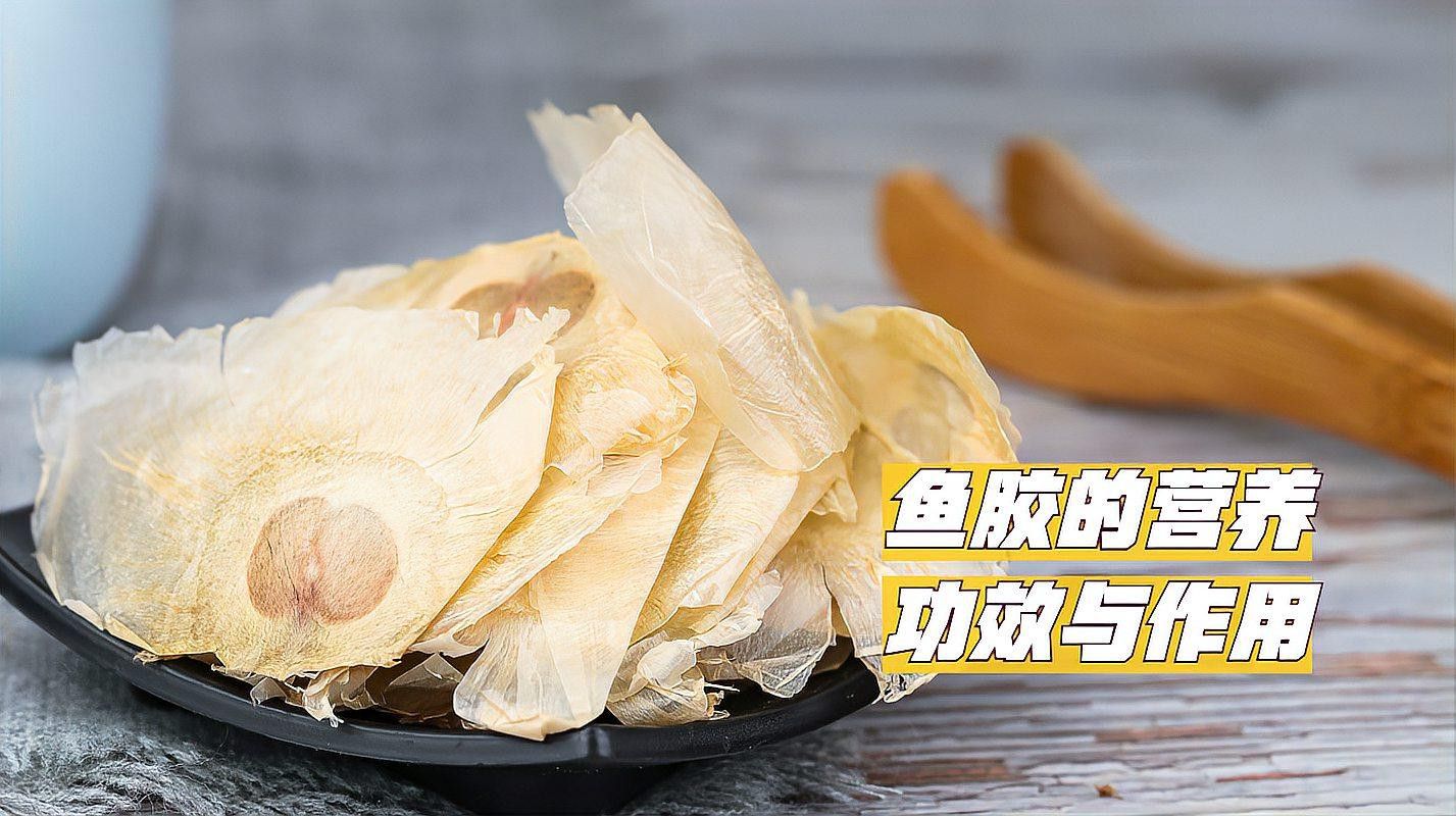 金龍魚膠有什么功效和作用 金龍魚膠有什么功效和作用 龍魚百科 第1張
