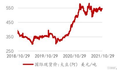 高品質金龍魚價格走勢如何看：金龍魚價格與棕櫚油關系 高品質金龍魚價格走勢如何看：金龍魚價格與棕櫚油關系 龍魚百科 第2張