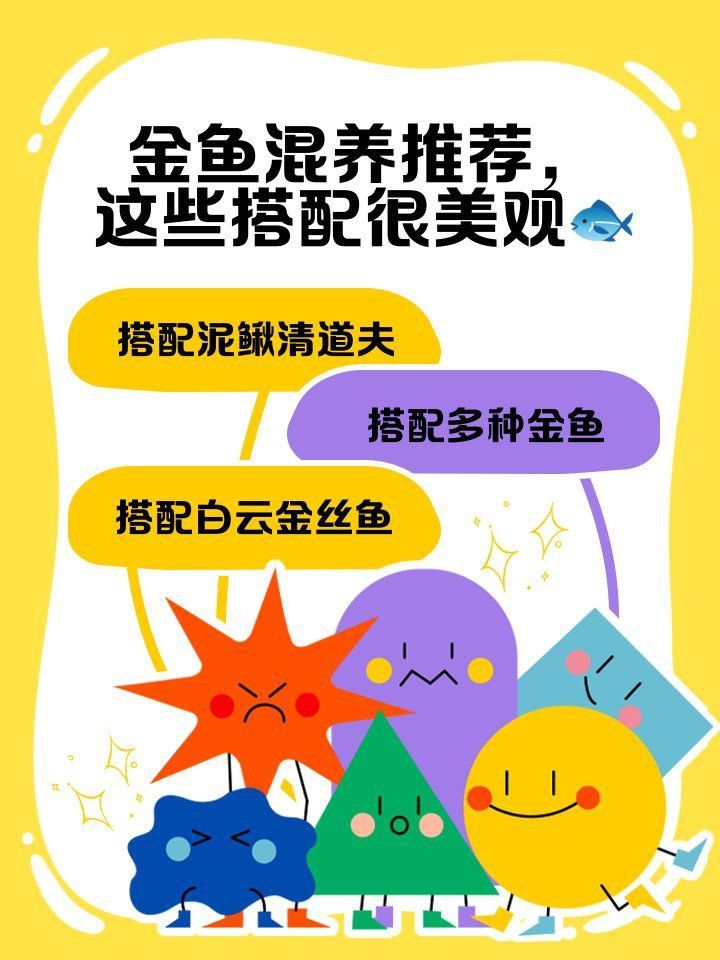 金魚混養(yǎng)最佳搭配表