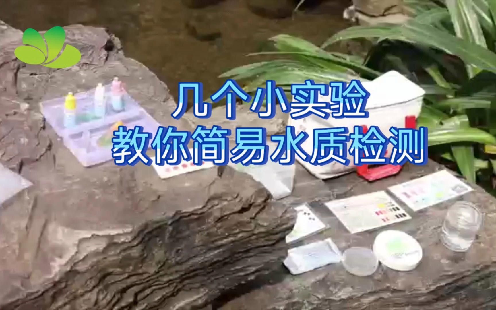 雷龍魚眼睛外凸如何預防？