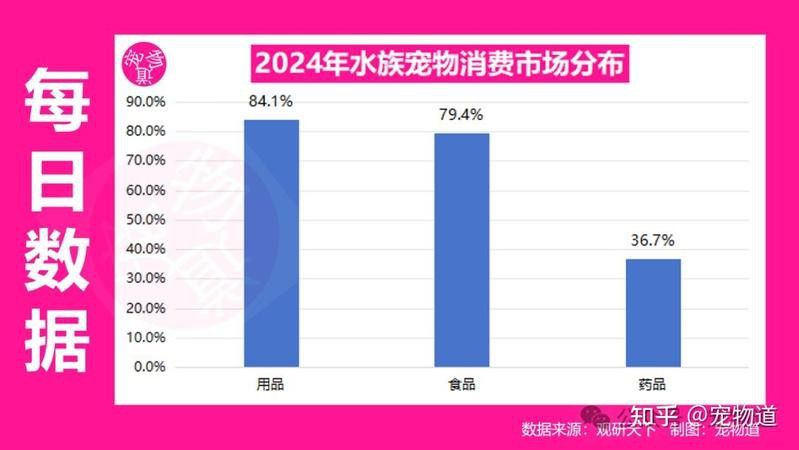 古龍魚的市場需求如何？