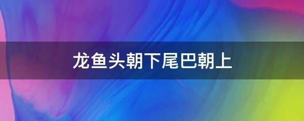 龍魚頭45度頭朝上（“龍魚頭45度頭朝上”的直接答案不過找到了）