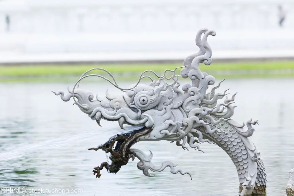龍魚(yú)第二天吐食物：龍魚(yú)吐食物可能由多種原因引起，