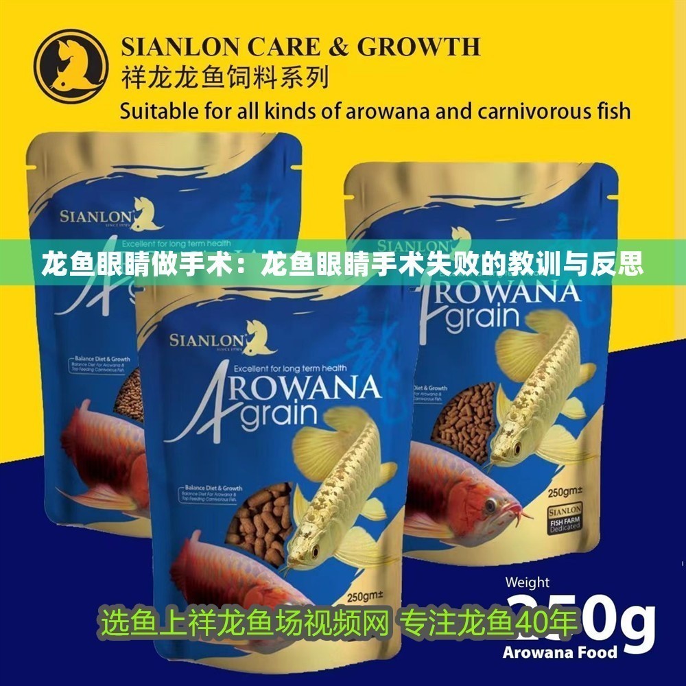 龍魚眼睛做手術(shù)：龍魚眼睛手術(shù)失敗的教訓(xùn)與反思 龍魚眼睛做手術(shù)：龍魚眼睛手術(shù)失敗的教訓(xùn)與反思 龍魚百科 第1張
