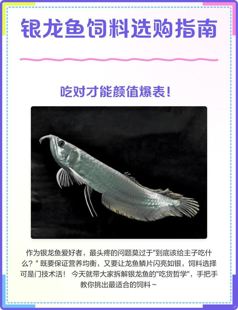 如何判斷銀龍魚飼料是否優(yōu)質(zhì)？