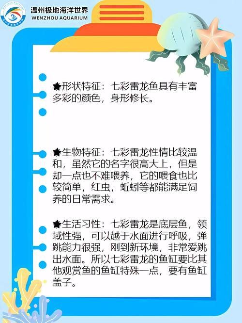 雷龍魚品種圖鑒及價格