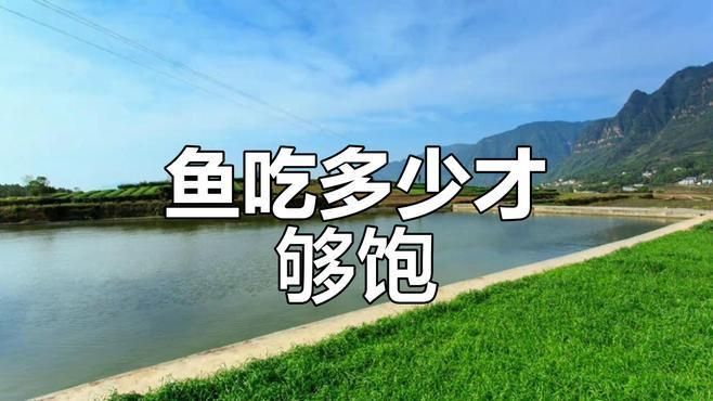如何判斷小魚是否吃飽？