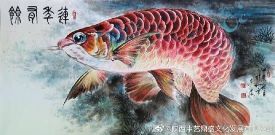 金龍魚的品牌標(biāo)志理念
