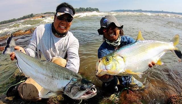 釣魚生活銀龍魚怎么釣（《和平精英》銀龍魚怎么釣銀龍魚釣魚攻略和注意事項(xiàng)）