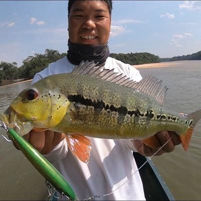 釣魚生活銀龍魚怎么釣（《和平精英》銀龍魚怎么釣銀龍魚釣魚攻略和注意事項(xiàng)）