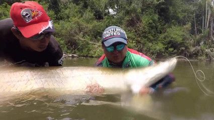釣魚生活銀龍魚怎么釣（《和平精英》銀龍魚怎么釣銀龍魚釣魚攻略和注意事項(xiàng)）