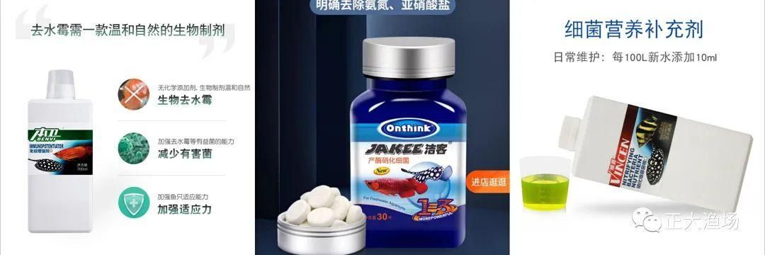 紅龍魚長(zhǎng)多大開始減少喂食（如何判斷紅龍魚是否過(guò)飽，紅龍魚常見疾病預(yù)防措施）