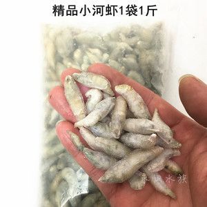龍魚喂青蝦好嗎：喂青蝦給龍魚好嗎