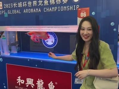 2024龍魚錦標賽（2019“長城杯”世界龍魚錦標賽）