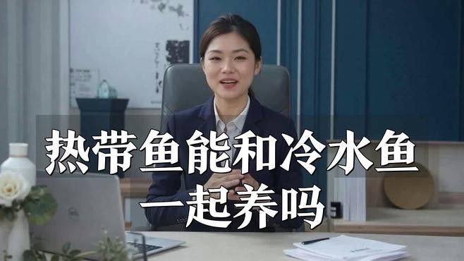 招財魚可以和銀龍魚混養嗎圖片欣賞 招財魚可以和銀龍魚混養嗎圖片欣賞 龍魚百科 第23張