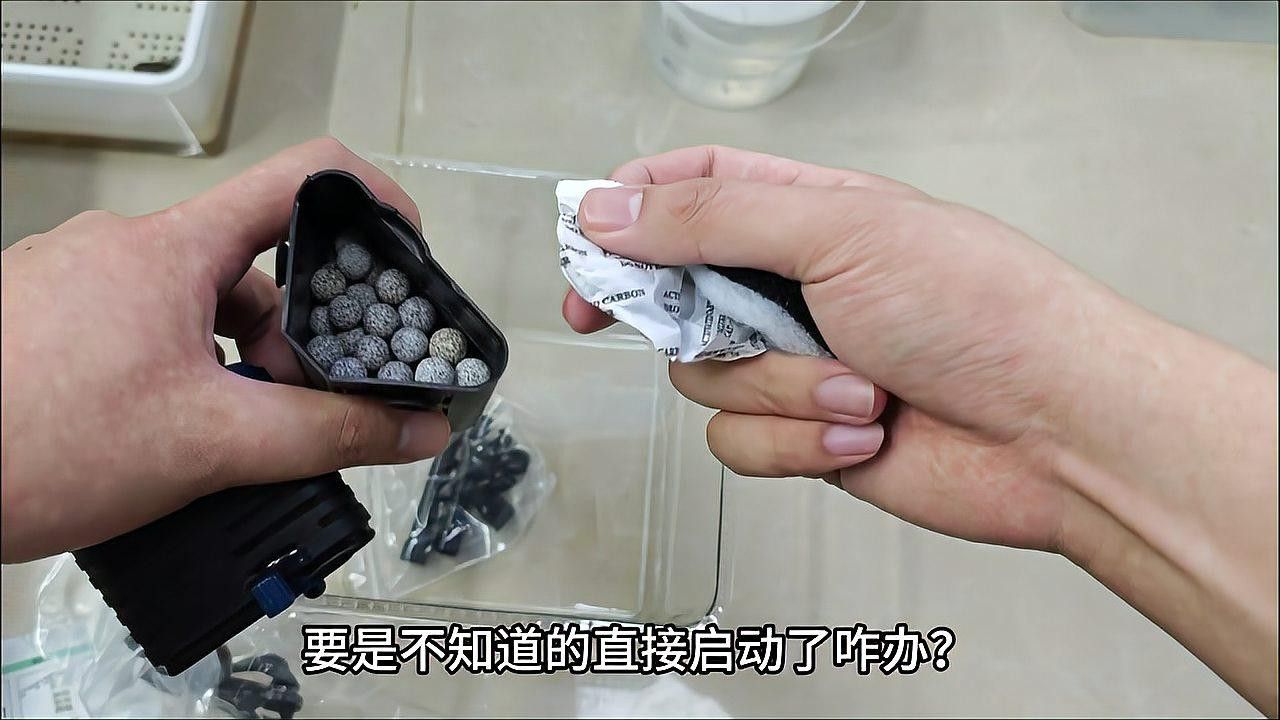 六角恐龍魚(yú)如何飼養(yǎng)和喂養(yǎng)
