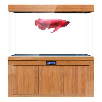 銘龍魚缸（“銘龍魚缸”的具體信息和購買建議您了解銘龍魚缸的信息）