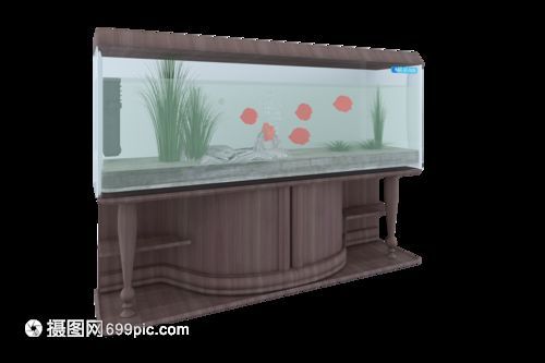 銘龍魚缸（“銘龍魚缸”的具體信息和購買建議您了解銘龍魚缸的信息）
