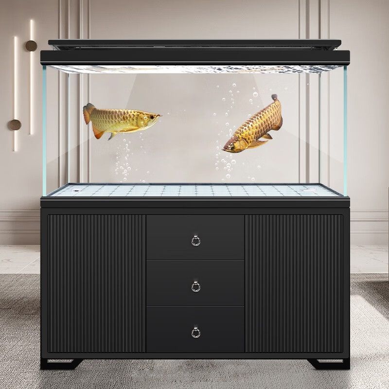 銘龍魚缸（“銘龍魚缸”的具體信息和購買建議您了解銘龍魚缸的信息）