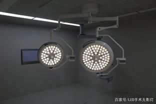 養(yǎng)龍魚用led燈好還是nec燈好（養(yǎng)龍魚時選擇使用led燈還是nec燈主要取決于您對燈光效果等方面的考慮）