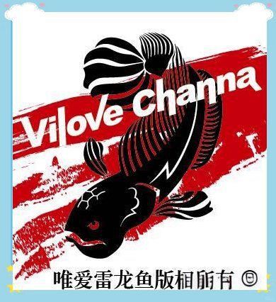 如何安全地食用雷龍魚？