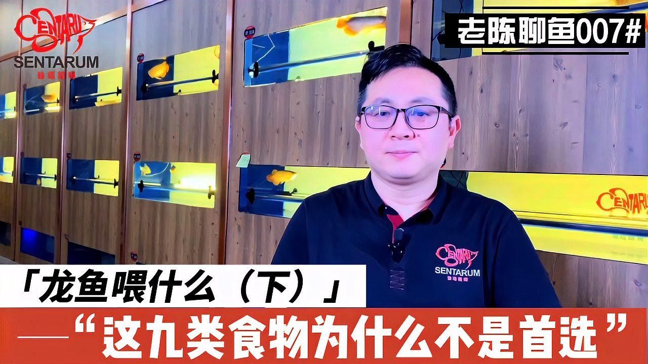 龍魚訓食飼料 蝦飼料