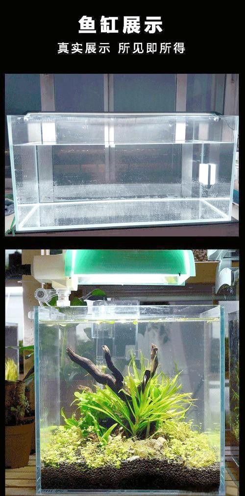如何判斷一個魚缸是否高端？