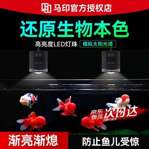 馬印和森森哪個更好？ 馬印和森森哪個更好？ 龍魚百科 第5張