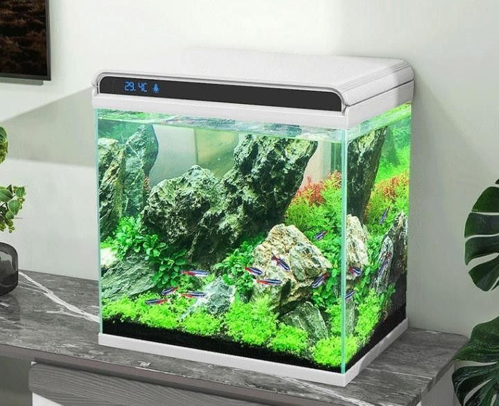 馬印和森森哪個更好？ 馬印和森森哪個更好？ 龍魚百科 第12張
