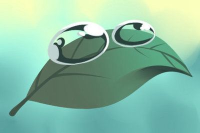 魚的品種龍是什么魚：小龍魚喂食頻率需要根據它們的生長階段來決定以下是具體的喂食建議