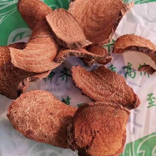 過江龍魚圖片高清圖