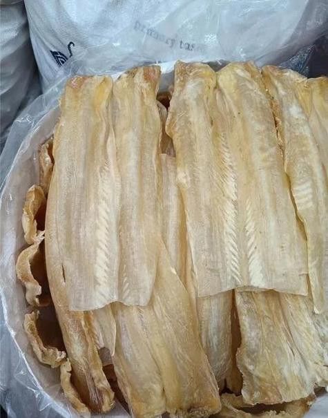 過江龍魚圖片高清圖