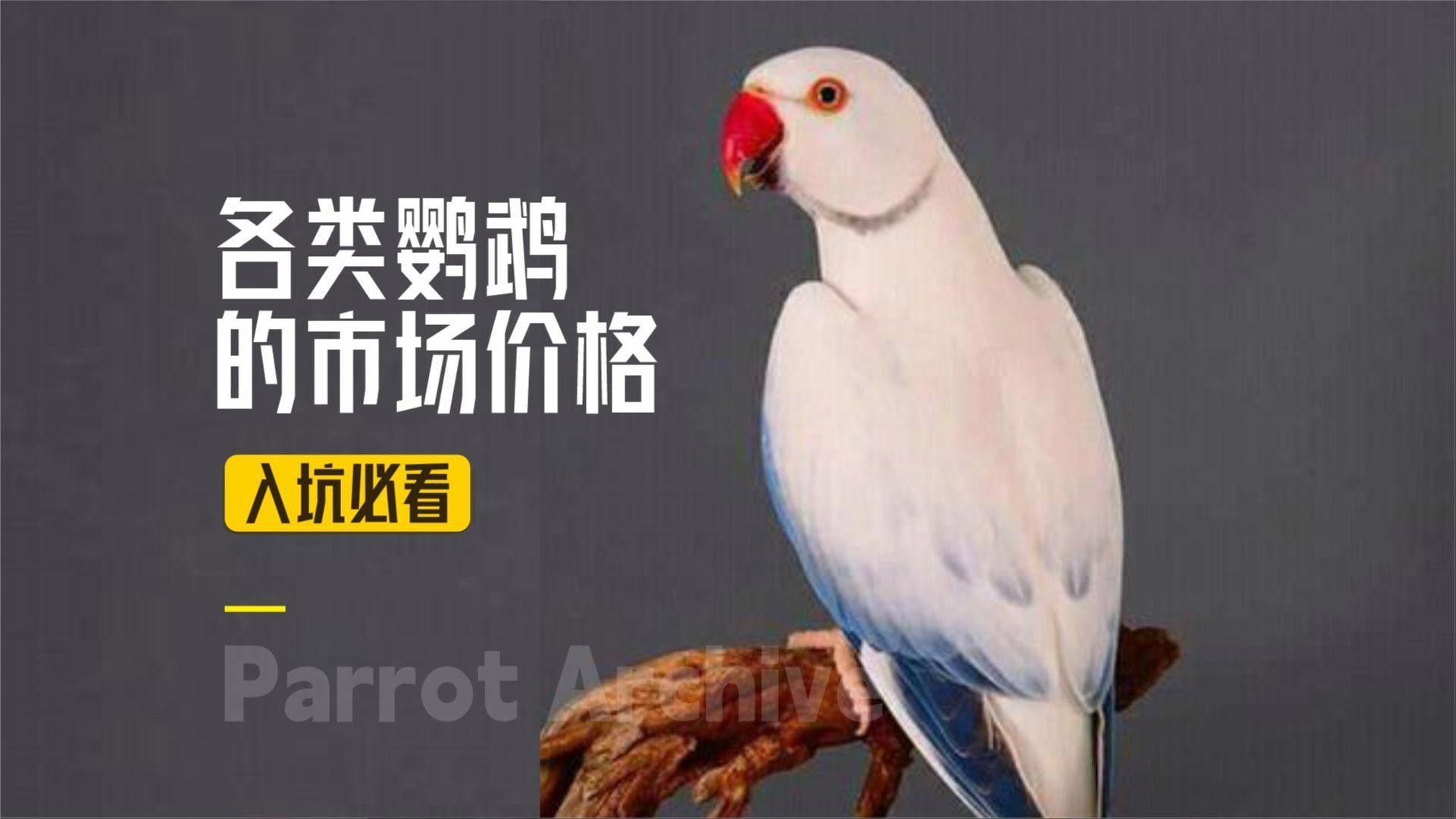 這些品種的價格差異大嗎？