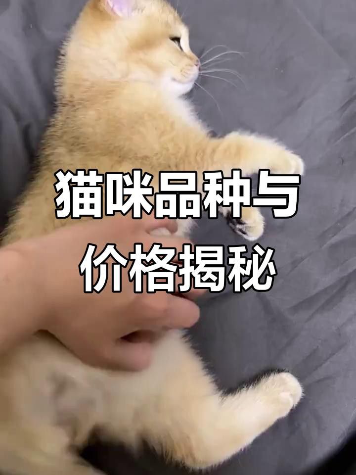 這些品種的價格差異大嗎？