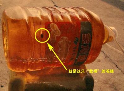 金龍魚宣傳詞是什么意思啊，金龍魚品牌發(fā)展歷程,金龍魚市場(chǎng)領(lǐng)先原因