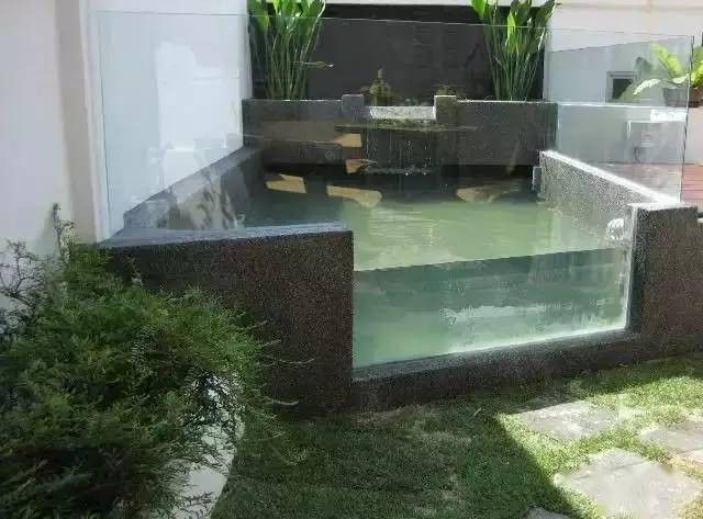 龍魚魚缸可以造景嗎圖片