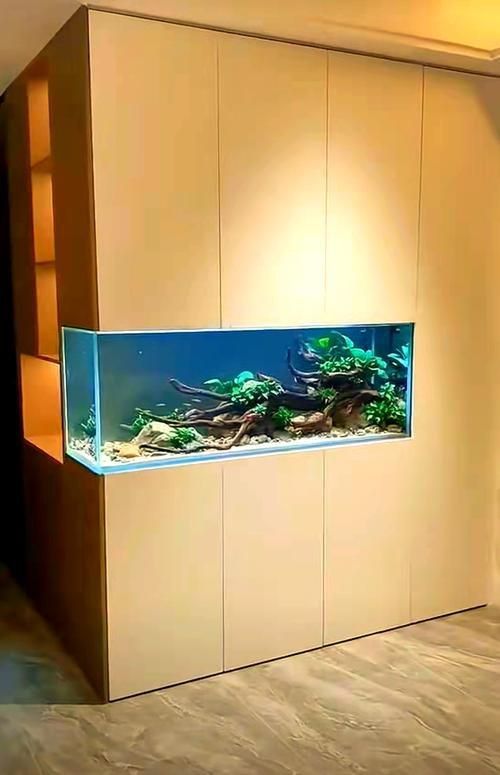 能否提供魚缸擺放效果圖？