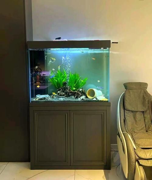 能否提供魚缸擺放效果圖？