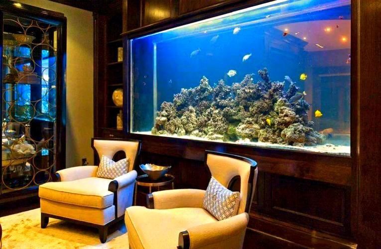 能否提供魚缸擺放效果圖？