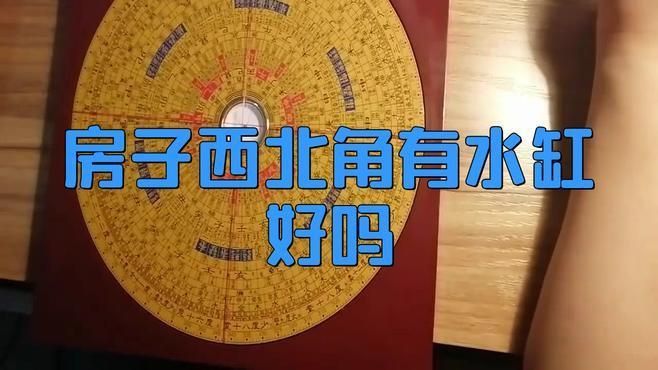 客廳西北角放魚缸好不好 客廳西北角放魚缸好不好 龍魚百科 第3張