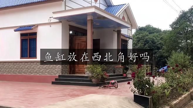 客廳西北角放魚缸好不好 客廳西北角放魚缸好不好 龍魚百科 第1張