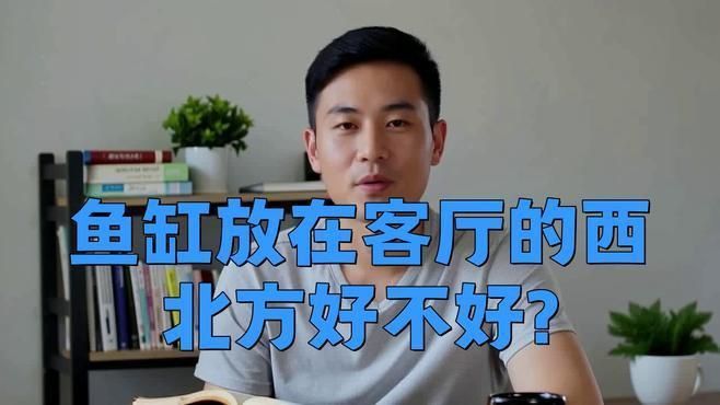 客廳西北角放魚缸好不好 客廳西北角放魚缸好不好 龍魚百科 第4張